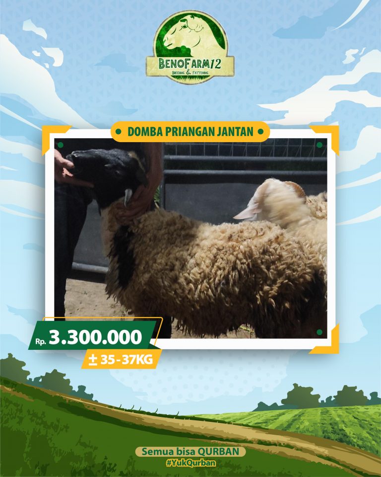 Benofarm Hardselling-02