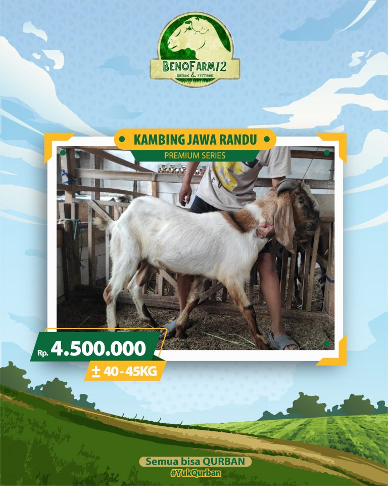Benofarm Hardselling-03