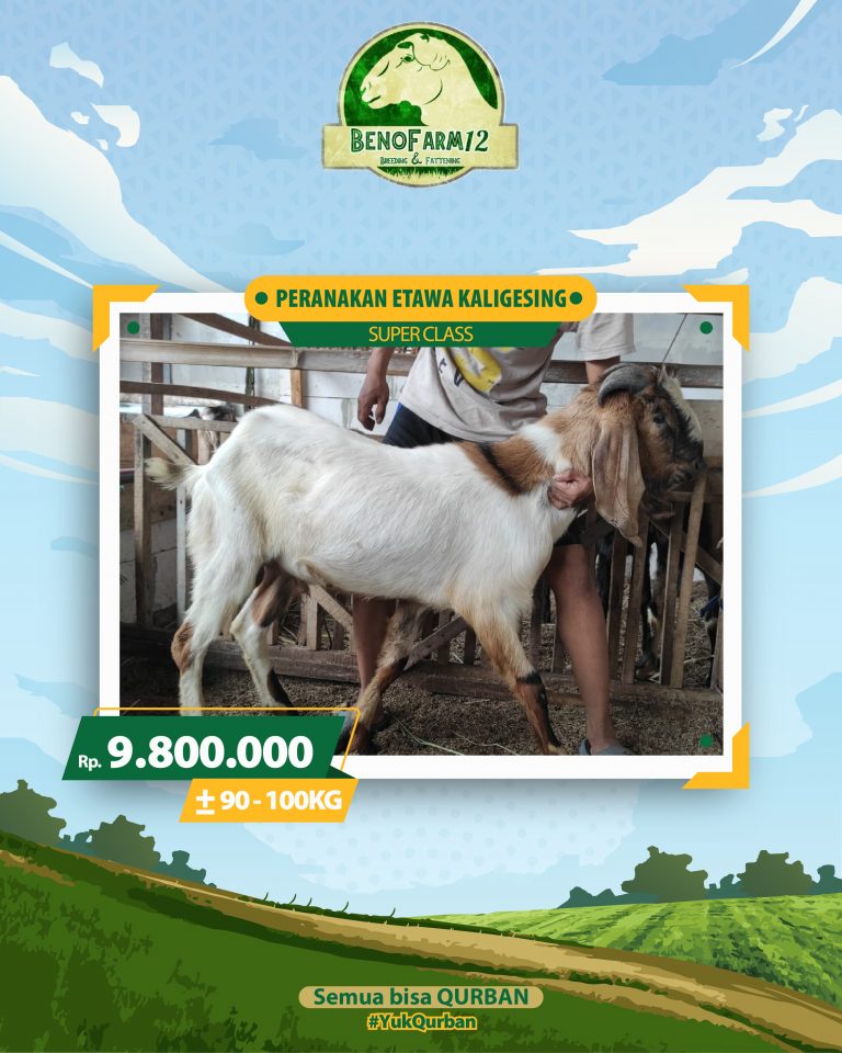 Benofarm Hardselling-04