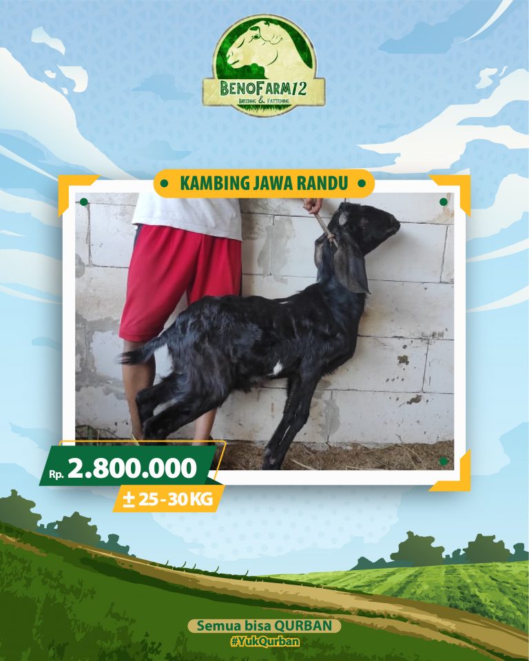 Benofarm Hardselling-05