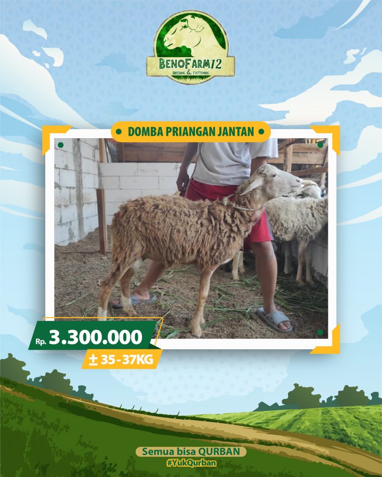 Benofarm Hardselling-06