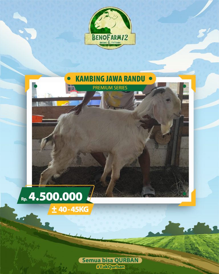 Benofarm Hardselling-07