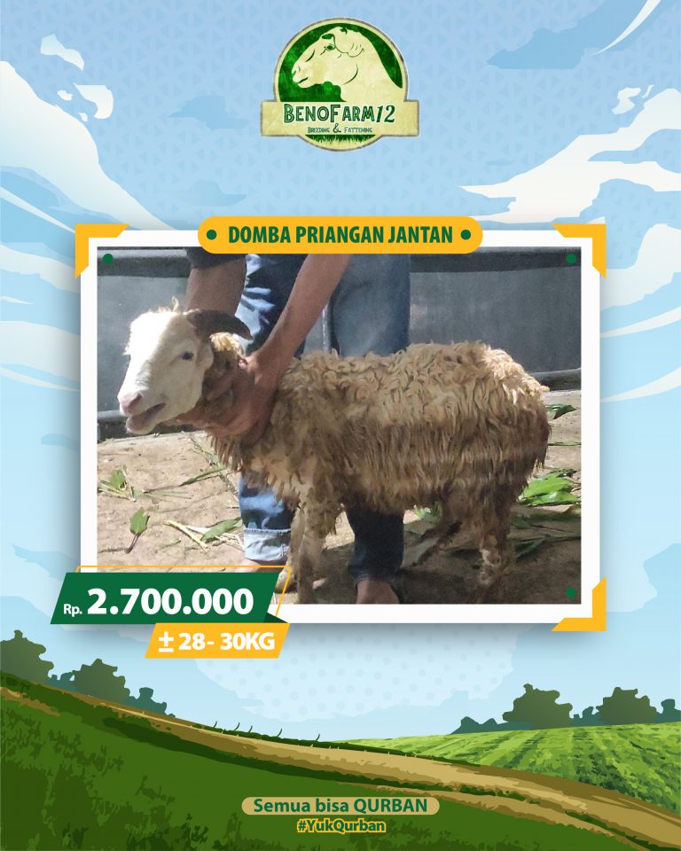 Benofarm Hardselling-08