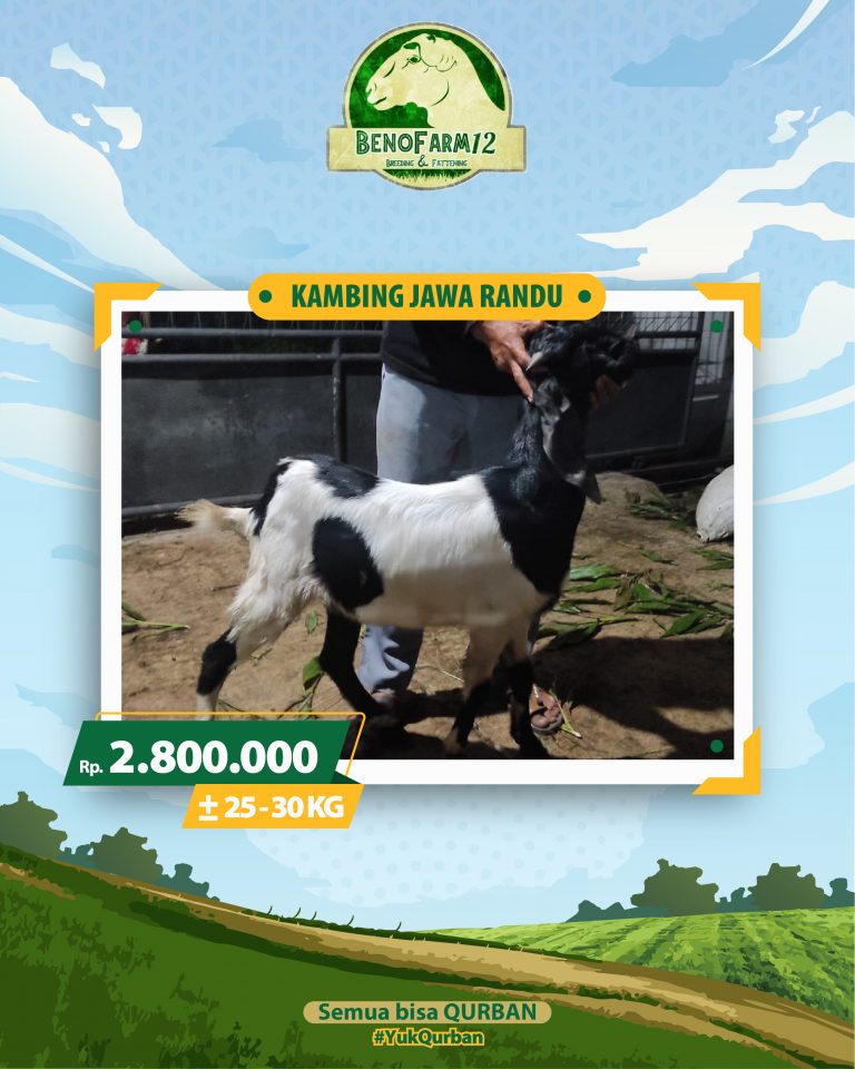 Benofarm Hardselling-10
