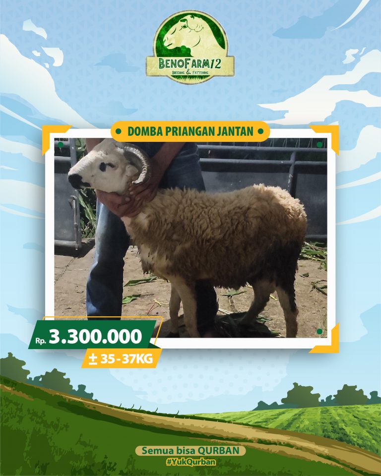 Benofarm Hardselling-11