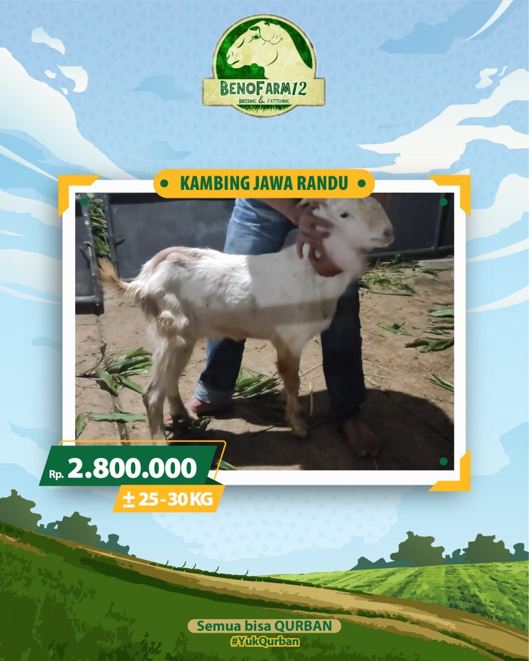 Benofarm Hardselling-13