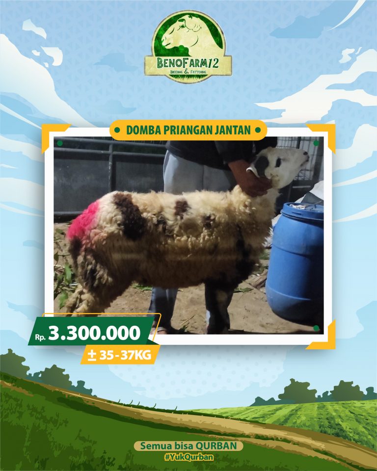 Benofarm Hardselling-15