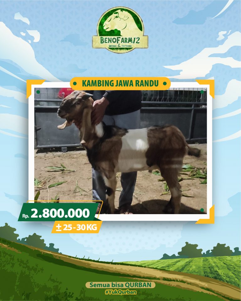 Benofarm Hardselling-18