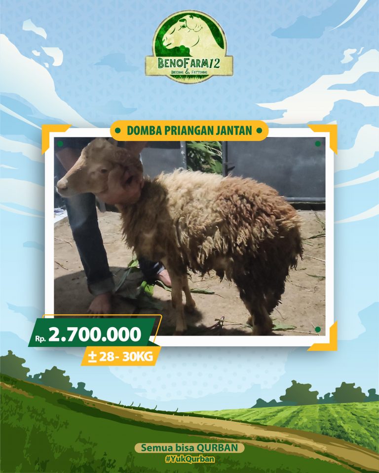 Benofarm Hardselling-19