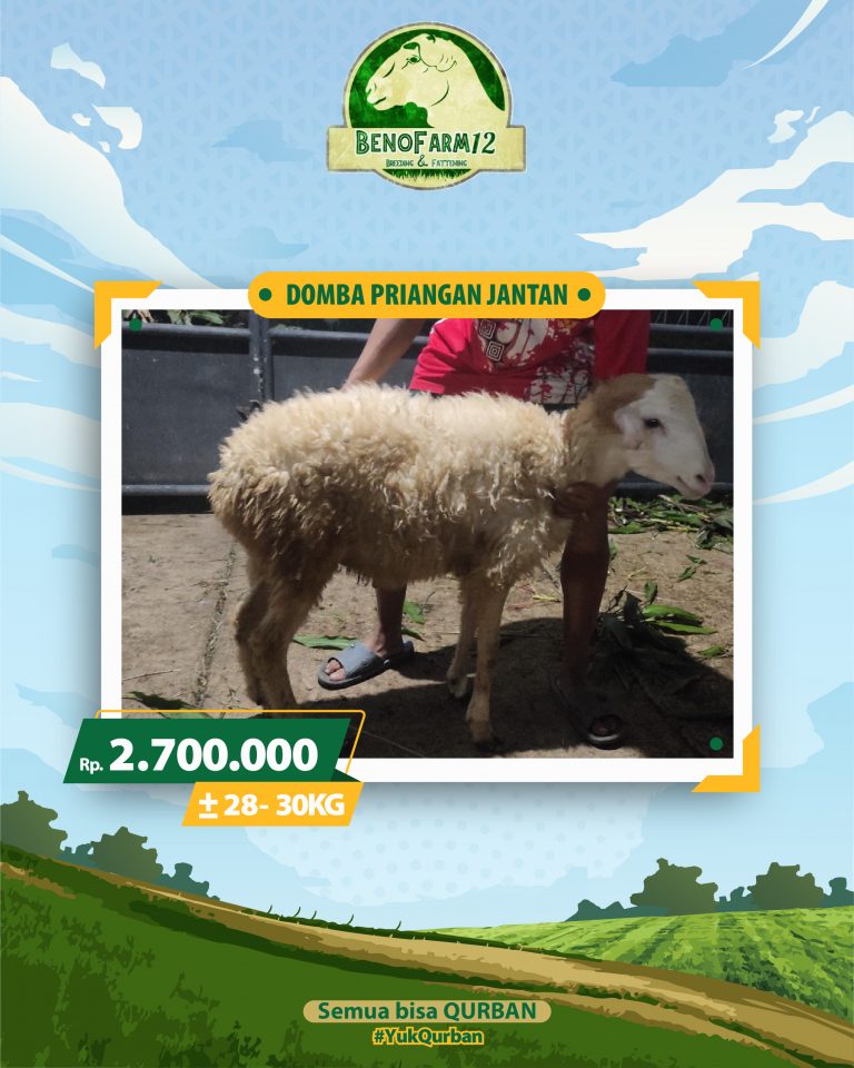 Benofarm Hardselling-20 (1)