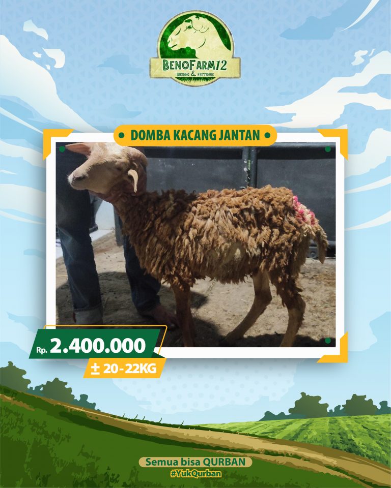 Benofarm Hardselling-22