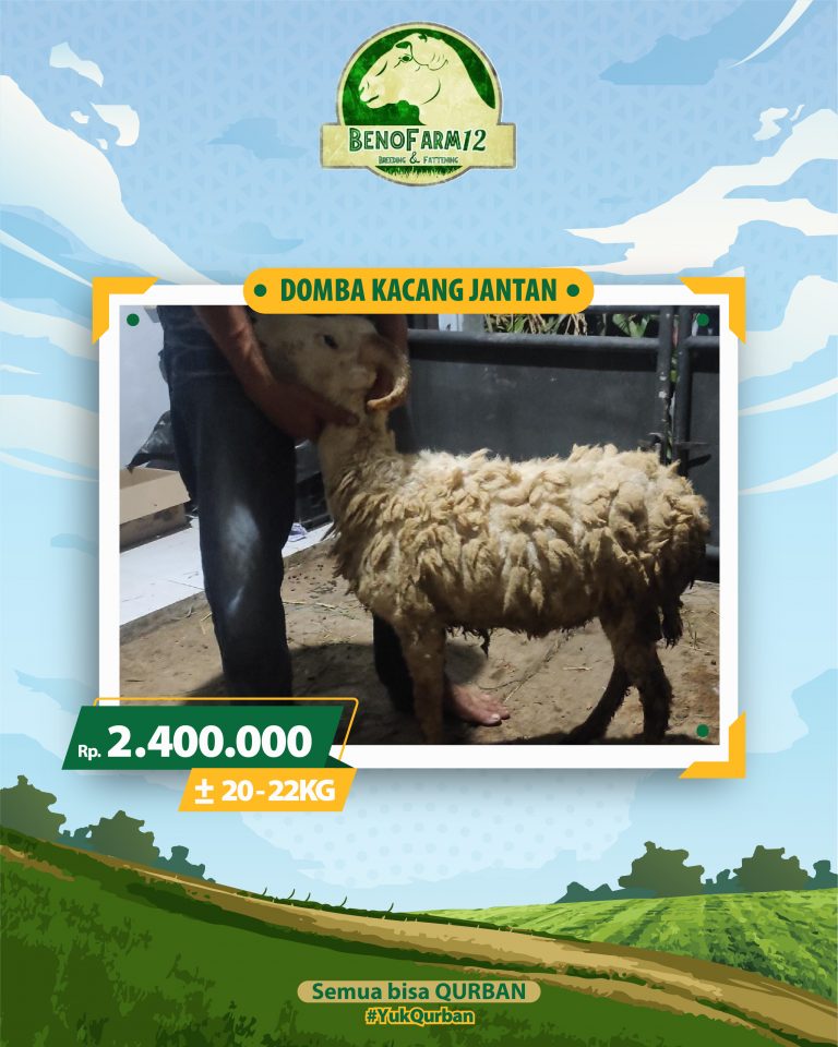 Benofarm Hardselling-23