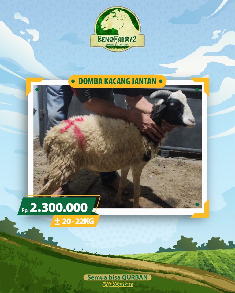 Benofarm Hardselling-25