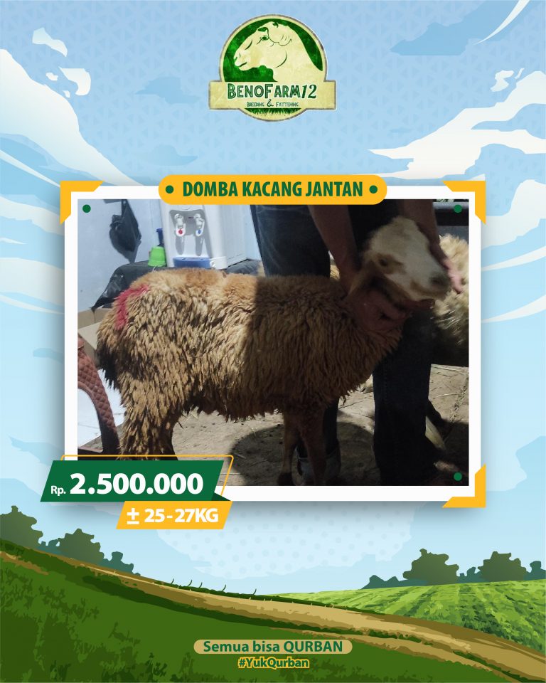 Benofarm Hardselling-26