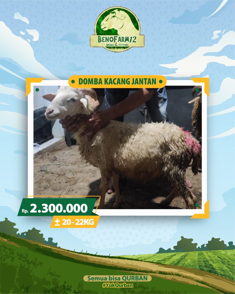 Benofarm Hardselling-27