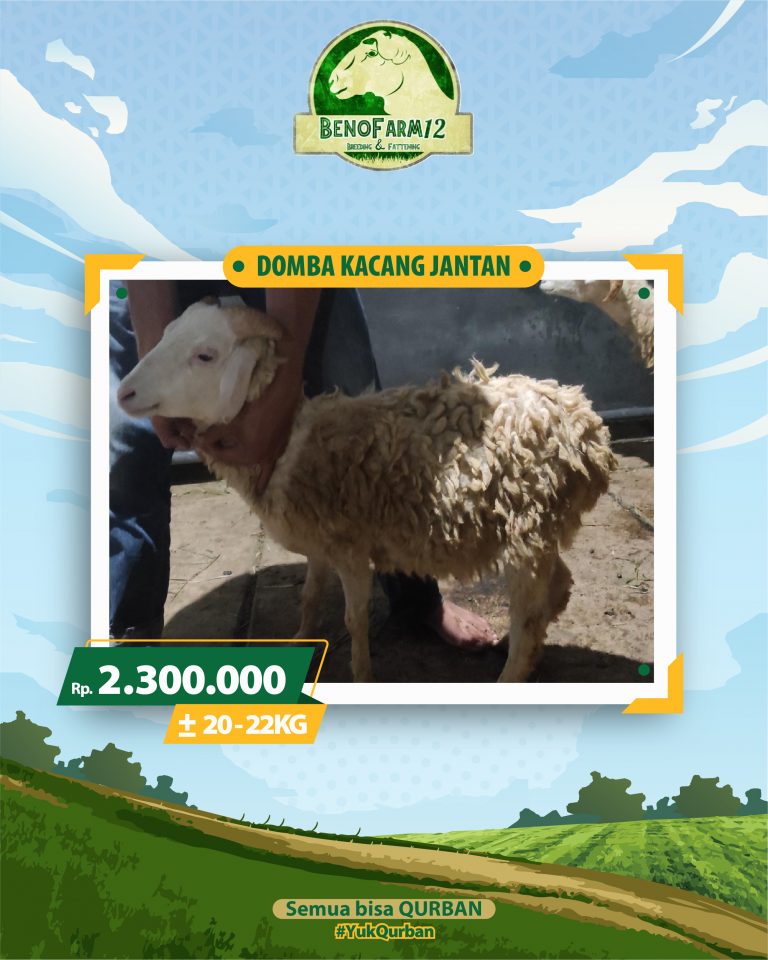 Benofarm Hardselling-28