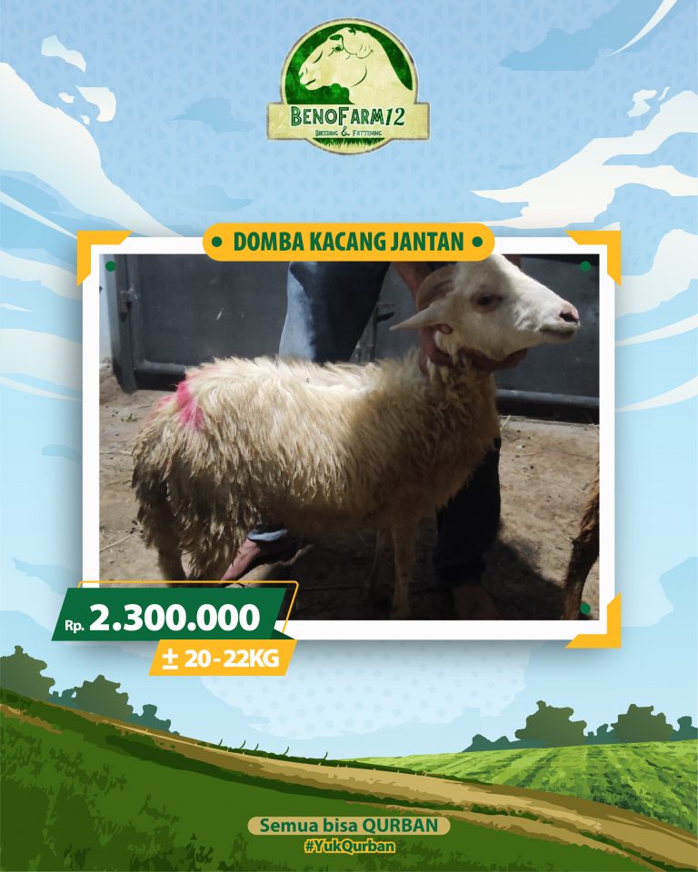 Benofarm Hardselling-29