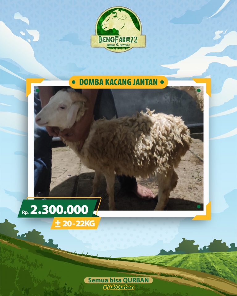 Benofarm Hardselling-31